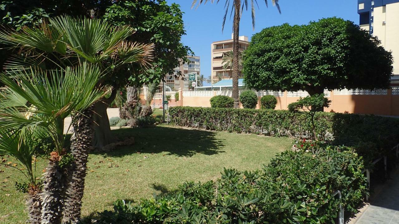 Tortuga Flat Alicante Exterior foto