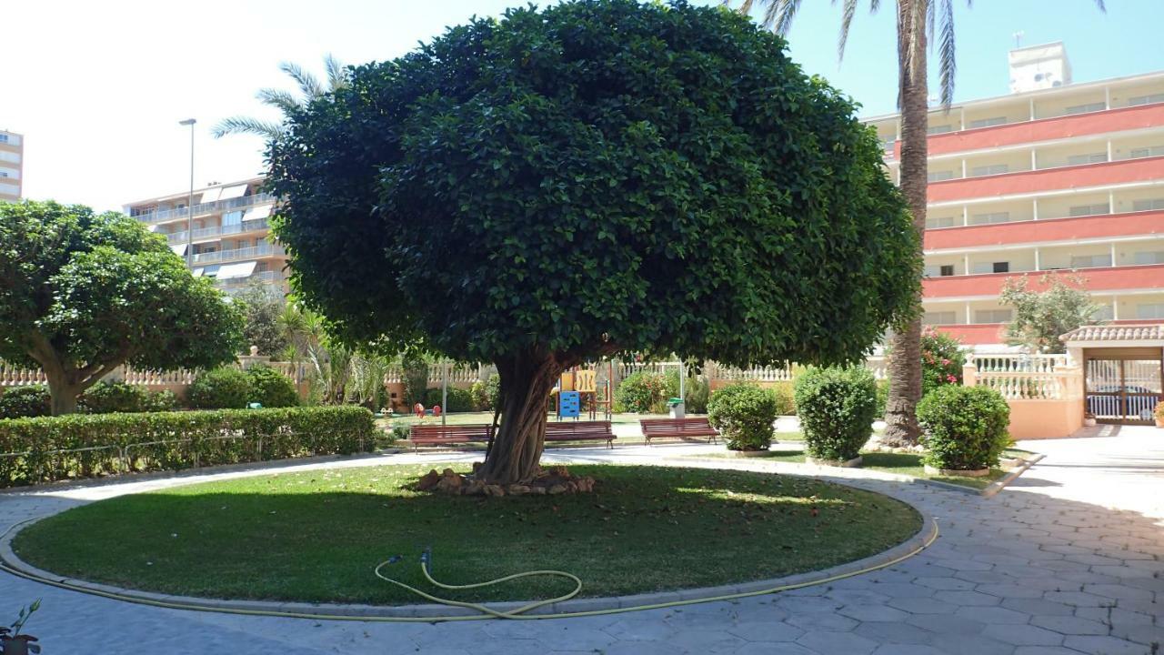 Tortuga Flat Alicante Exterior foto